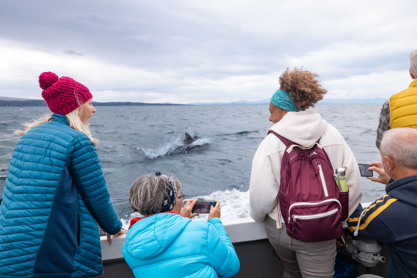 Get Wild on a Dolphin Eco Tour in Fort Myers Florida