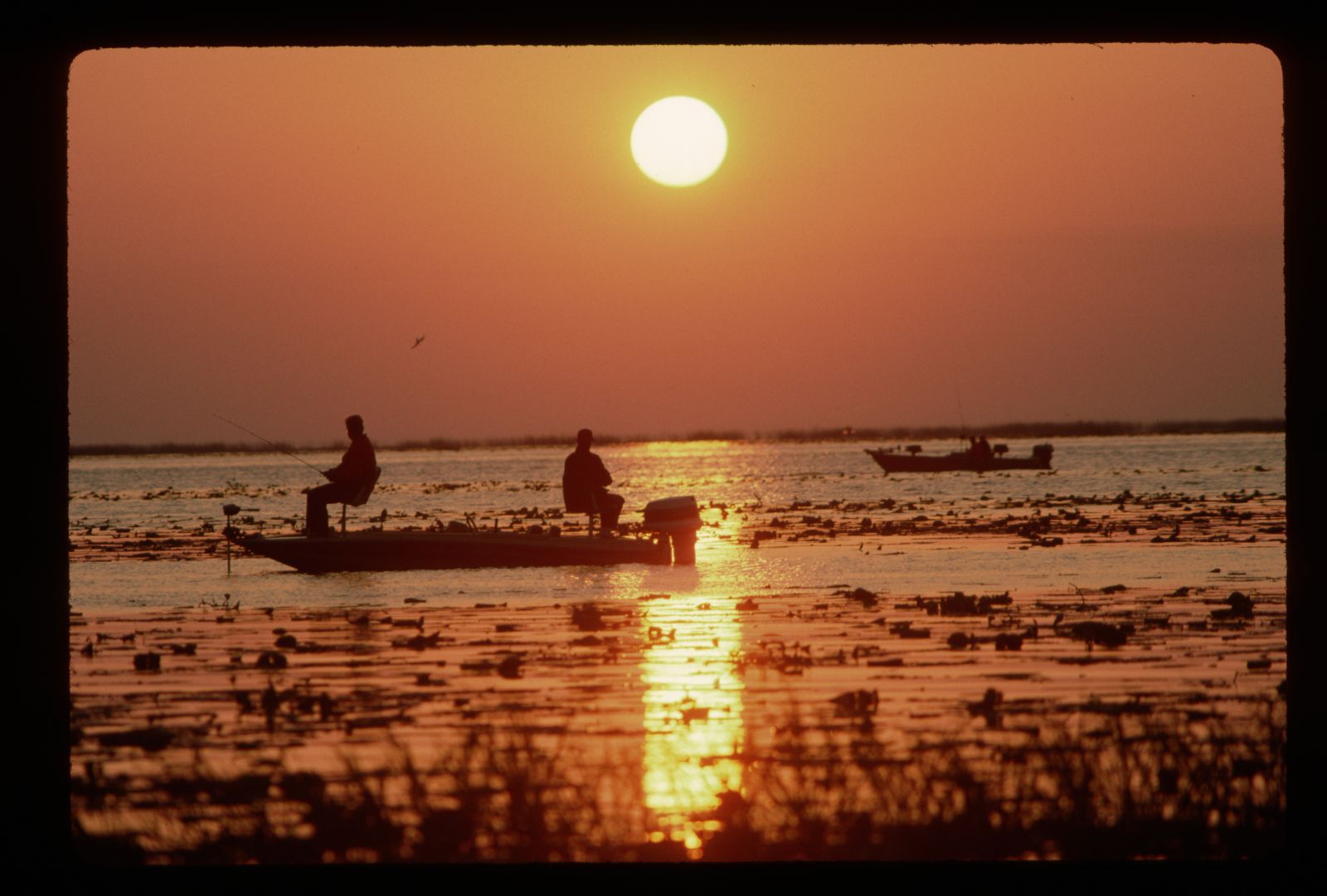 Lake Okeechobee Fishing Trip Near Fort Myers