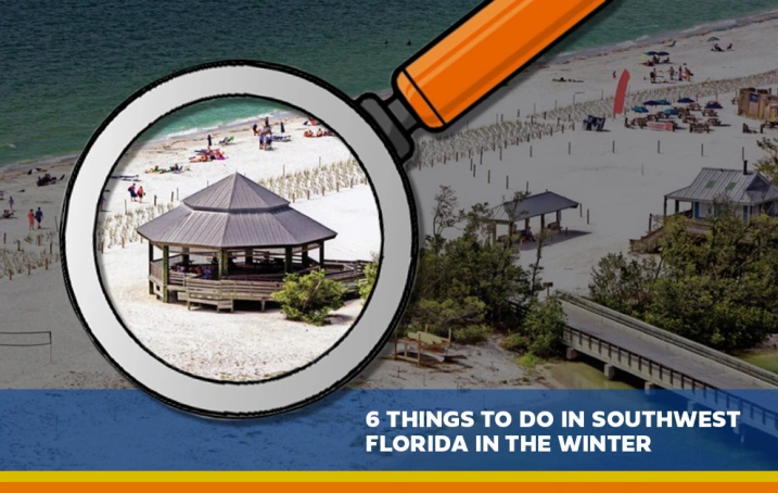 6 Things to do in Southwest FL in the Winter