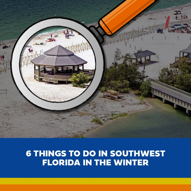 6 Things to do in Southwest FL in the Winter