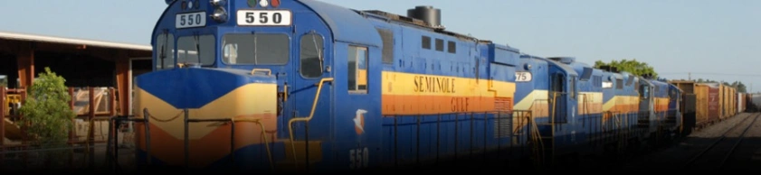 Celebrate Special Occasions Aboard the Train